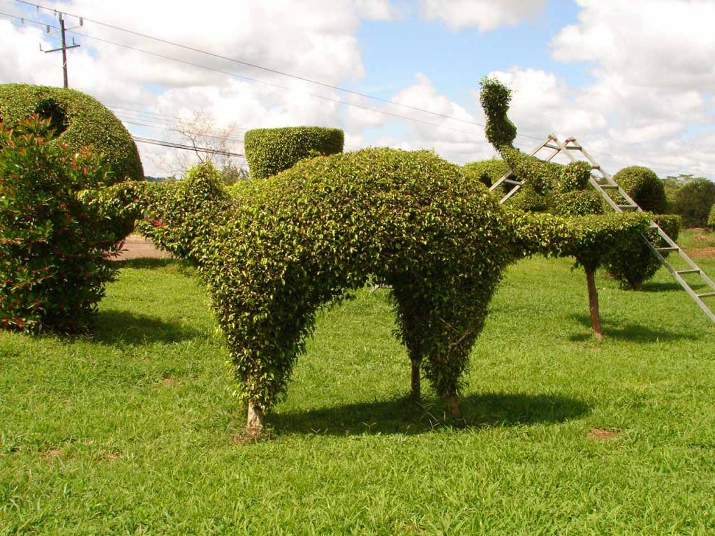 Foto de Guatuso (Alajuela), Costa Rica