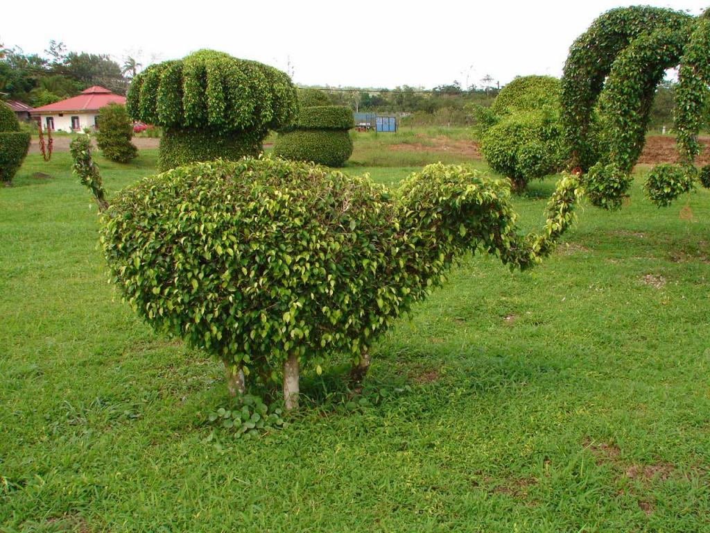 Foto de Guatuso (Alajuela), Costa Rica