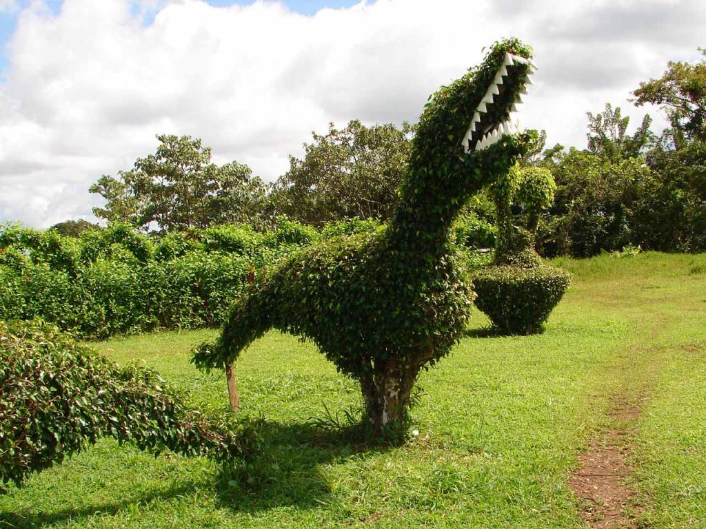 Foto de Guatuso (Alajuela), Costa Rica