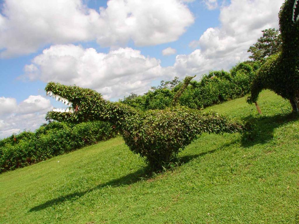 Foto de Guatuso (Alajuela), Costa Rica