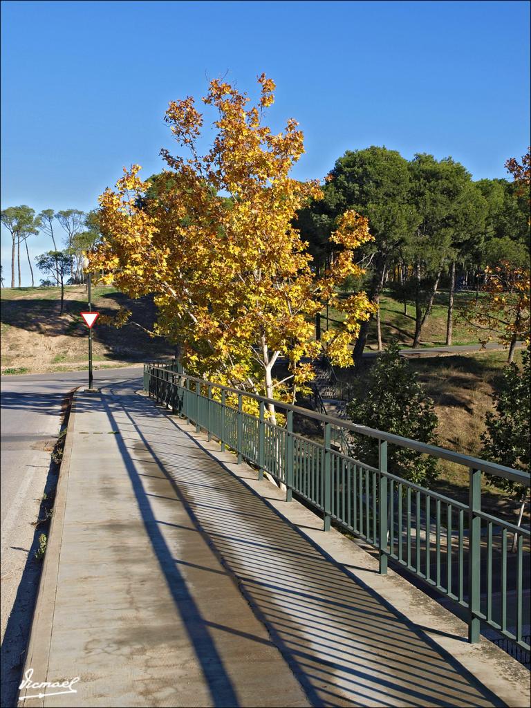 Foto de Zaragoza (Aragón), España