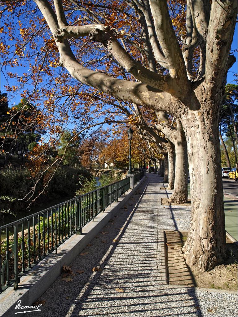 Foto de Zaragoza (Aragón), España