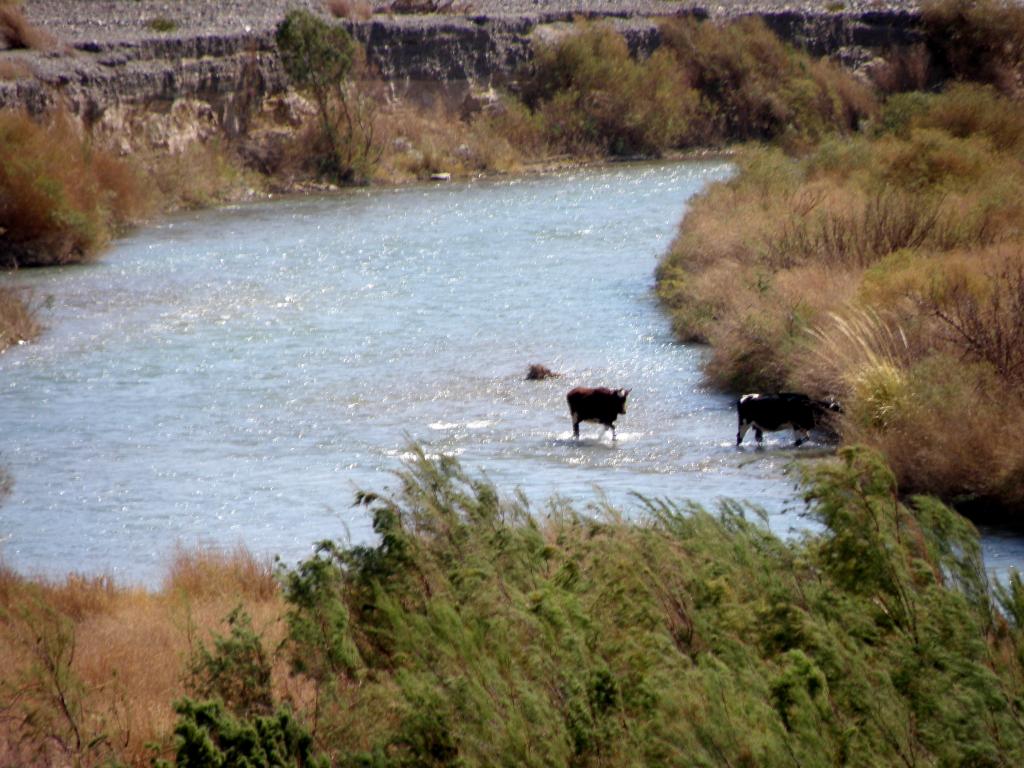 Foto de Jáchal (San Juan), Argentina