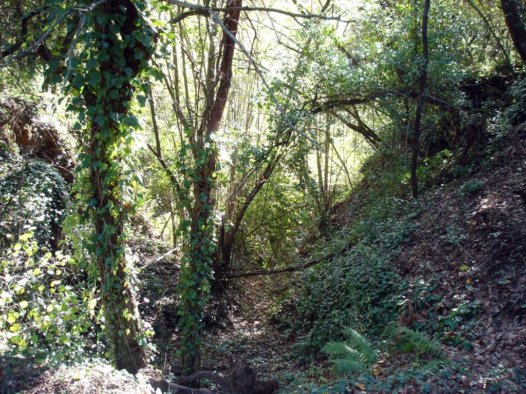 Foto de La Garrotxa (Girona), España