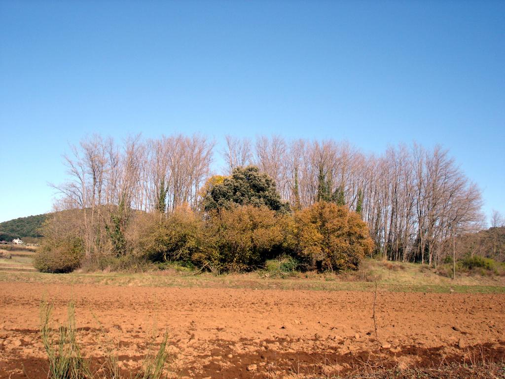 Foto de La Garrotxa (Girona), España