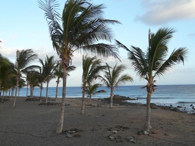 Foto de Lanzarote (Las Palmas), España