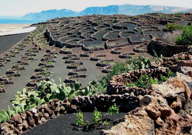 Foto de Lanzarote (Las Palmas), España