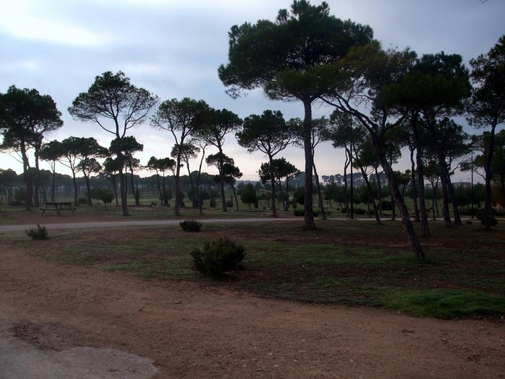 Foto de Albacete (Castilla La Mancha), España