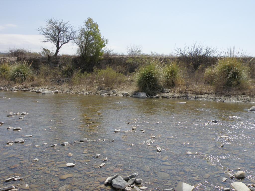 Foto de Pachimoco (San Juan), Argentina