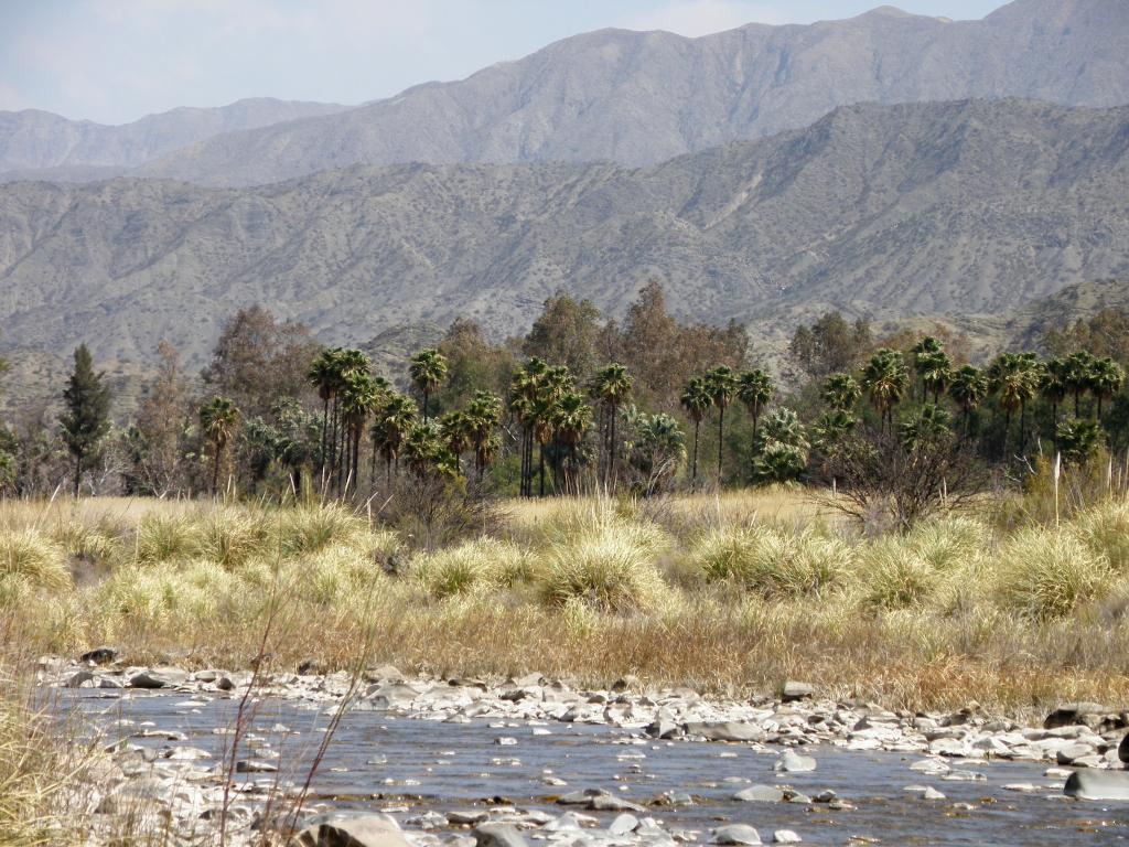 Foto de Pachimoco (San Juan), Argentina