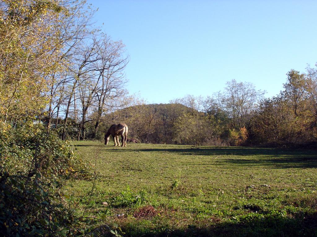 Foto de La Garrotxa (Girona), España