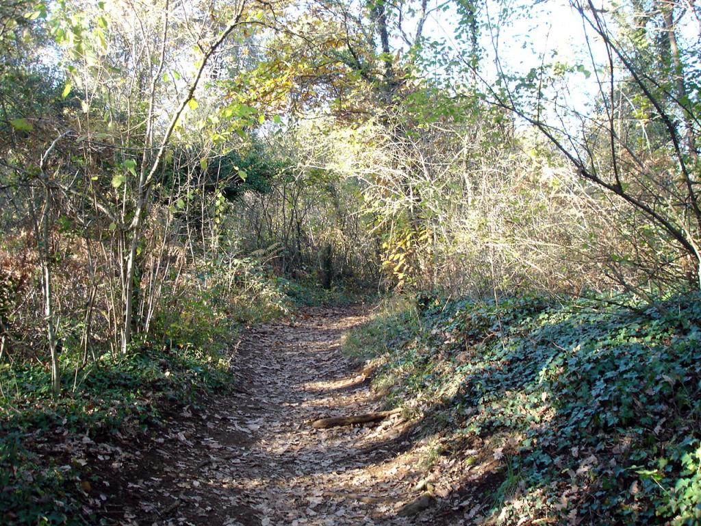 Foto de La Garrotxa (Girona), España