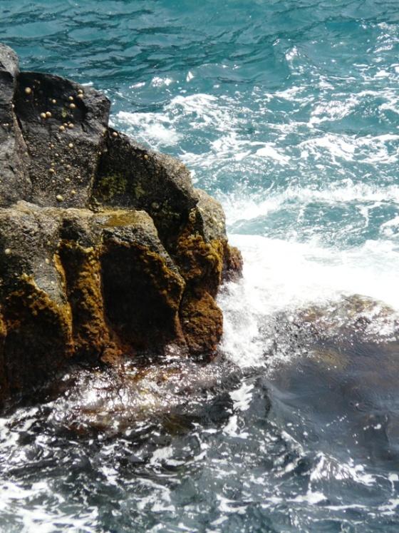 Foto de Lanzarote (Las Palmas), España