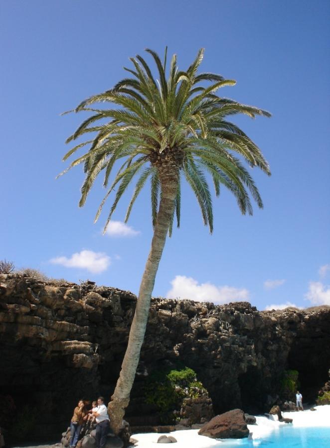 Foto de Lanzarote (Las Palmas), España