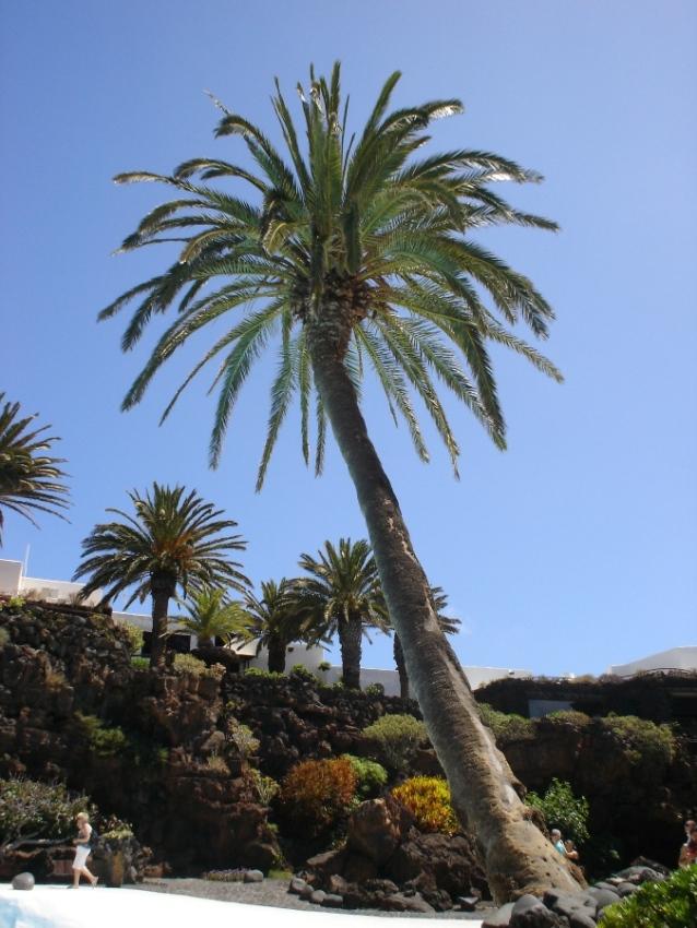 Foto de Lanzarote (Las Palmas), España