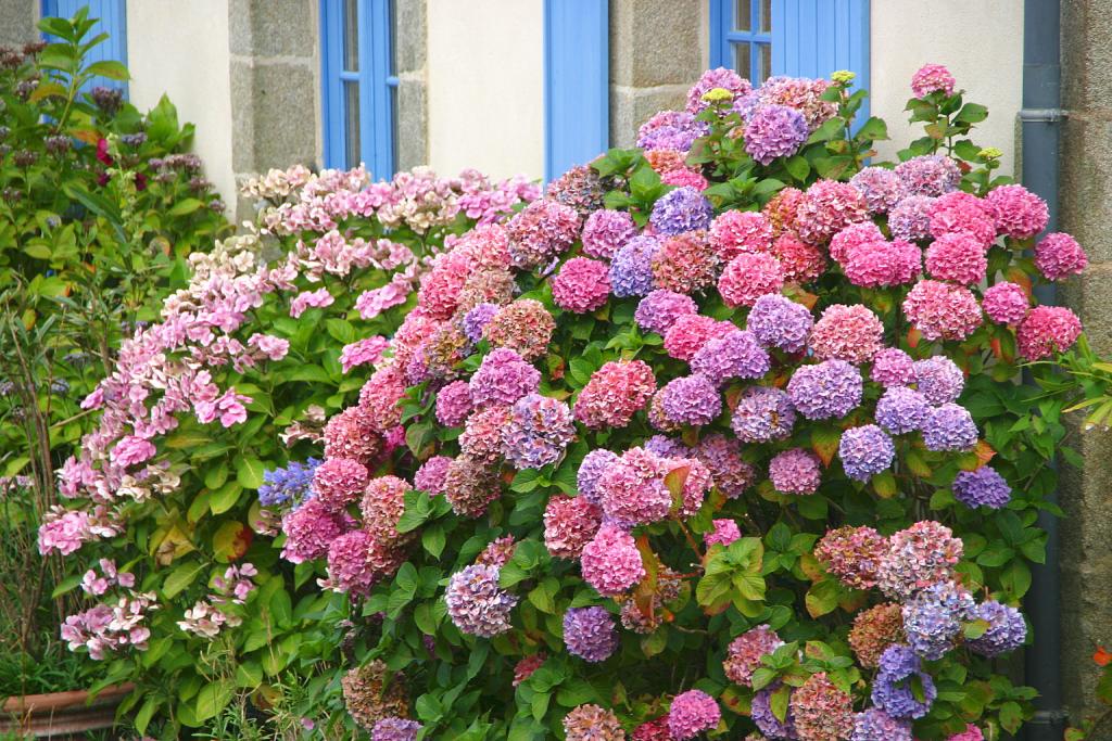 Foto de Locronan, Francia