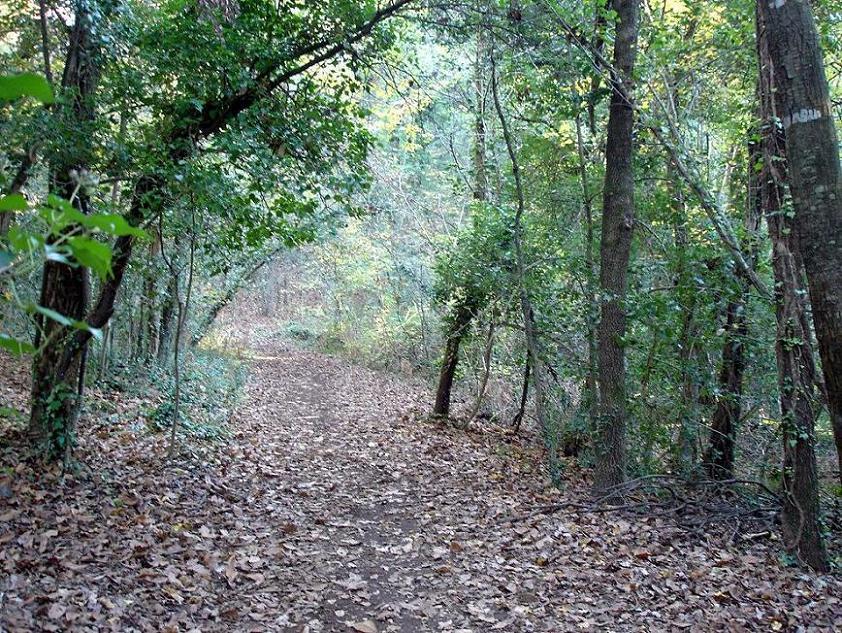 Foto de La Garrotxa (Girona), España