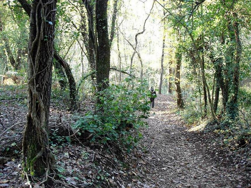 Foto de La Garrotxa (Girona), España