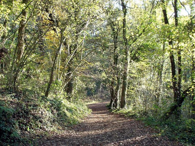 Foto de La Garrotxa (Girona), España