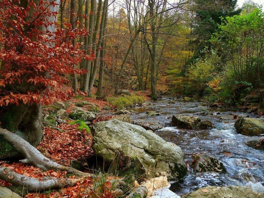 Foto de Lagrasse, Francia