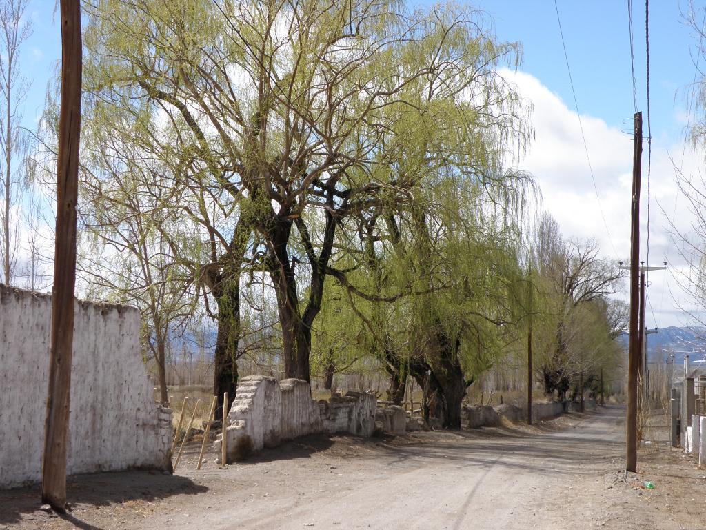 Foto de Iglesia (San Juan), Argentina