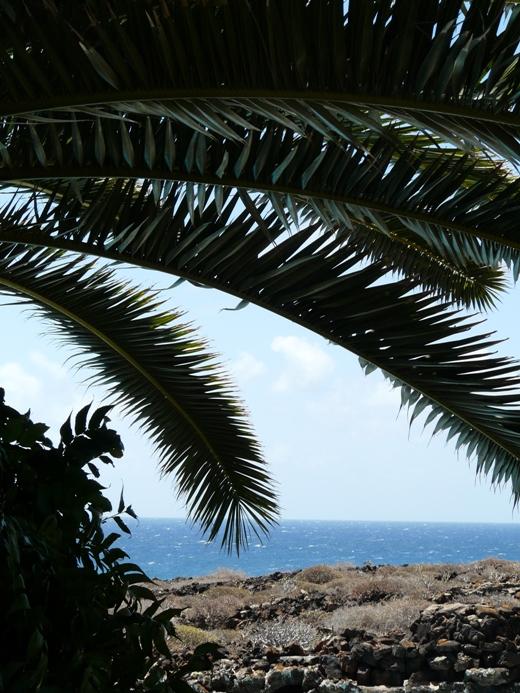 Foto de Lanzarote (Las Palmas), España