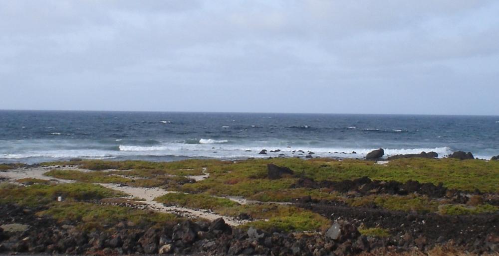 Foto de Lanzarote (Las Palmas), España