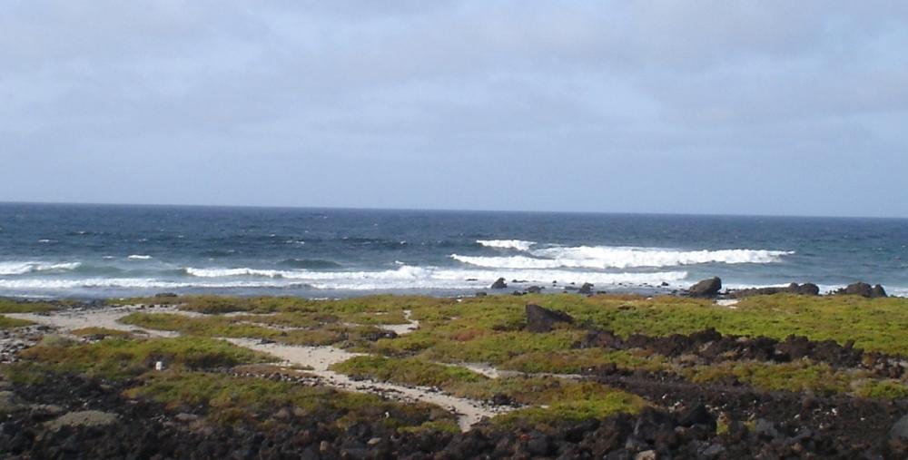 Foto de Lanzarote (Las Palmas), España