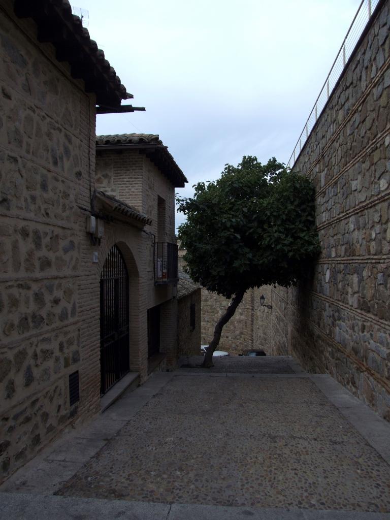 Foto de Toledo (Castilla La Mancha), España