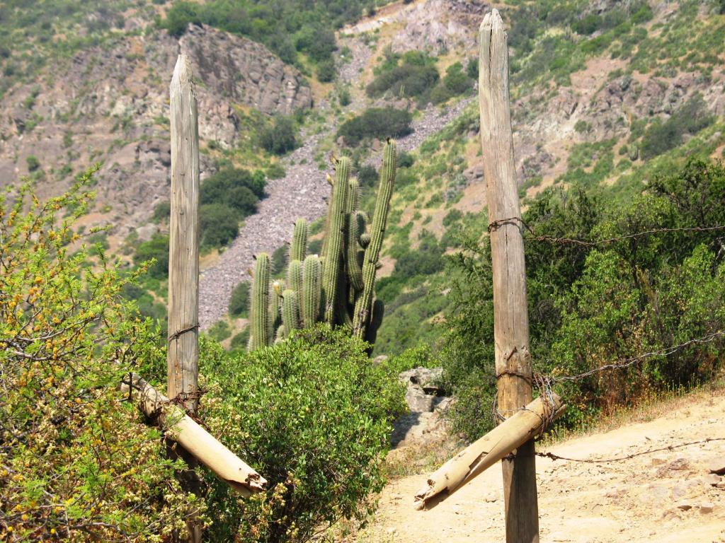 Foto de El Arrayán, Chile