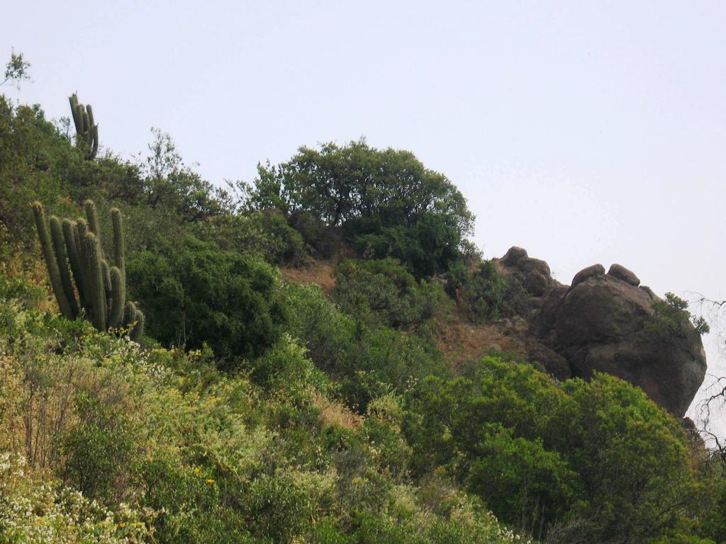 Foto de El Arrayán, Chile