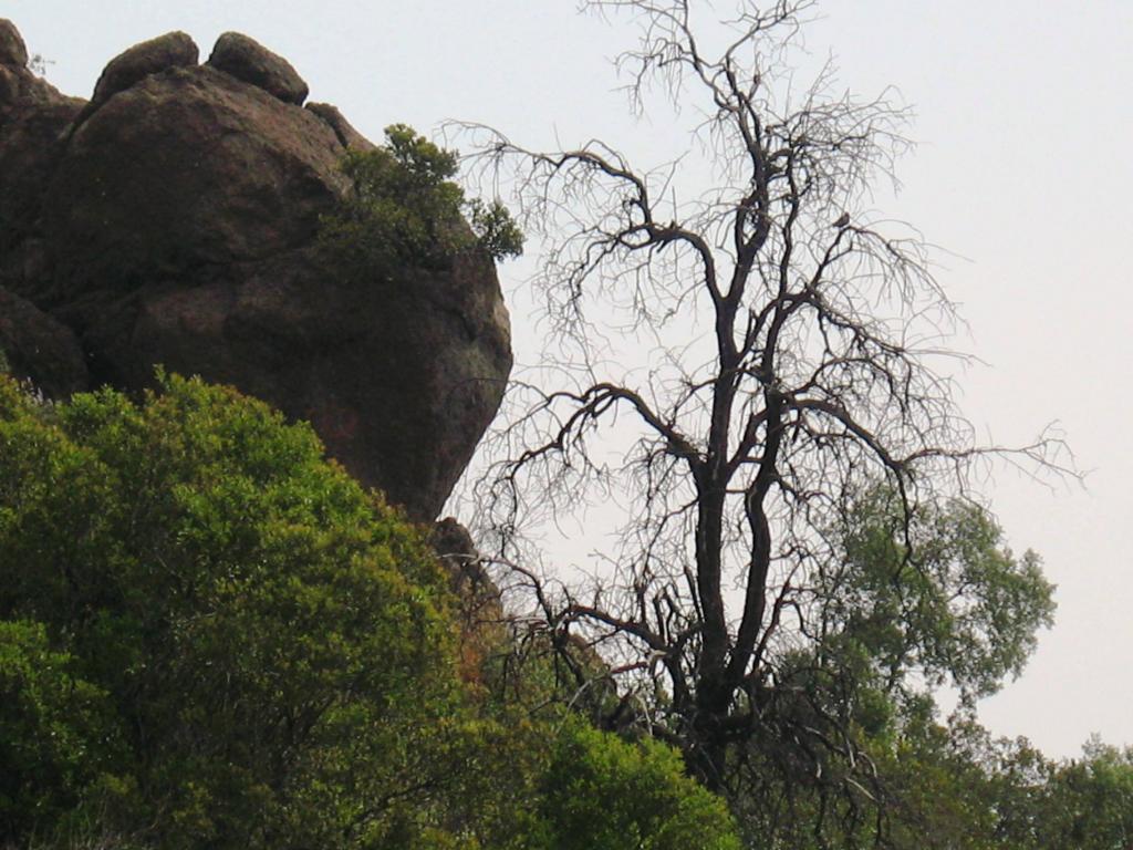 Foto de El Arrayán, Chile