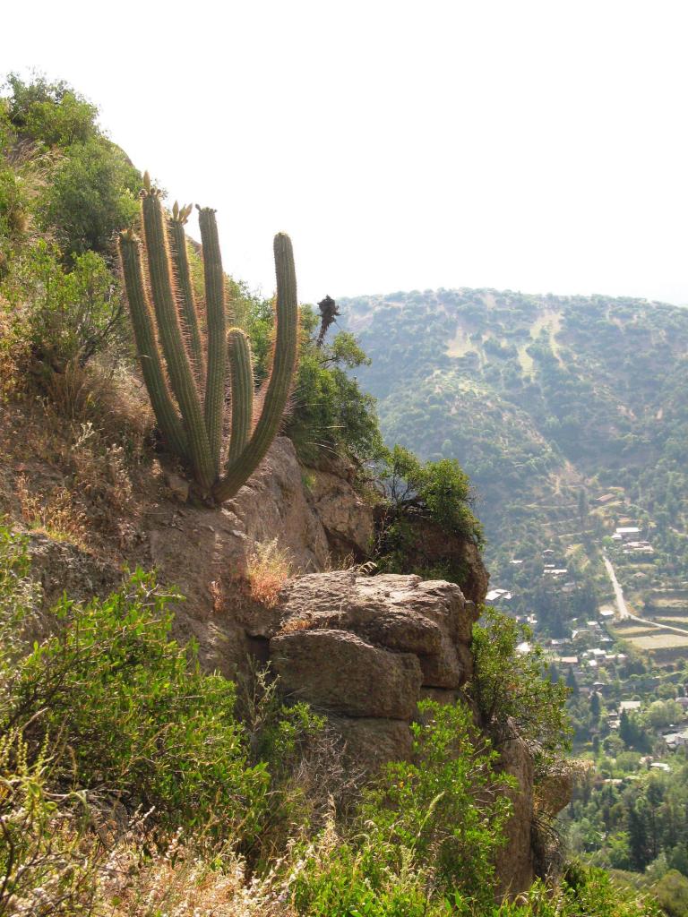 Foto de El Arrayán, Chile