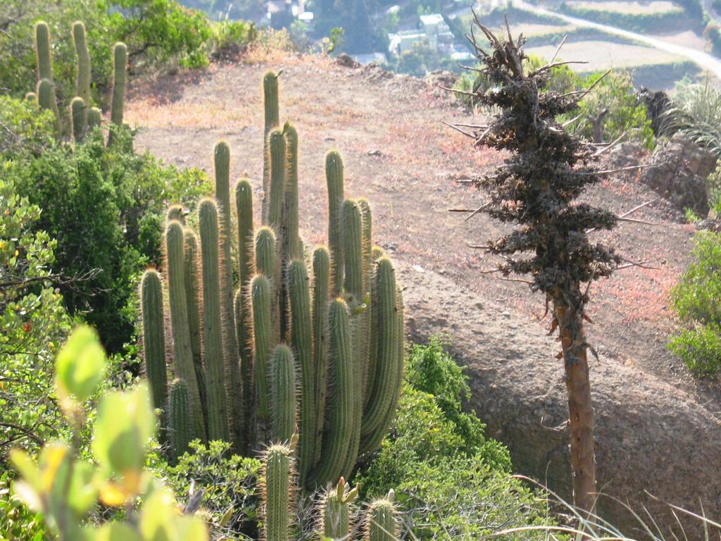 Foto de El Arrayán, Chile