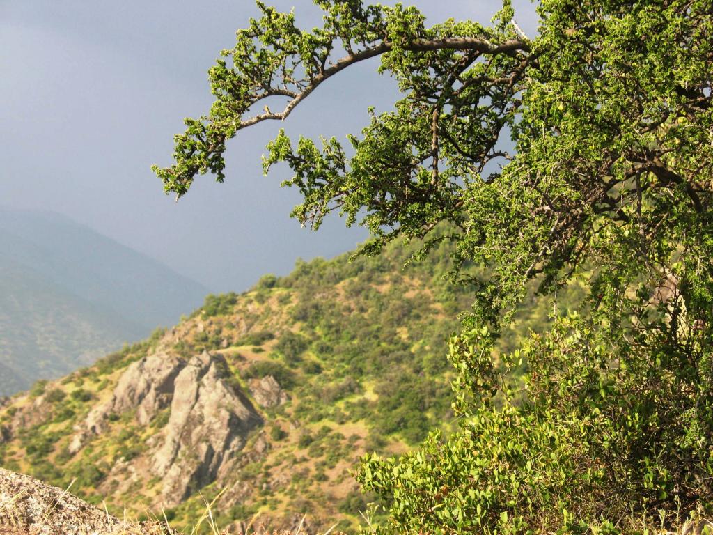 Foto de El Arrayán, Chile