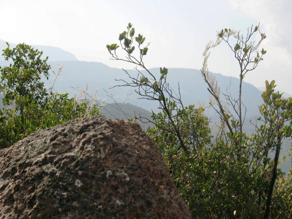 Foto de El Arrayán, Chile