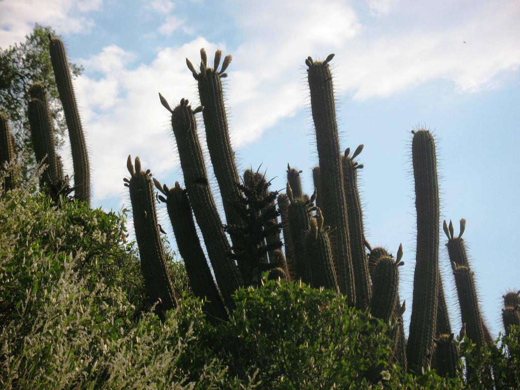 Foto de El Arrayán, Chile