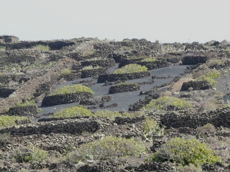 Foto de Lanzarote (Las Palmas), España