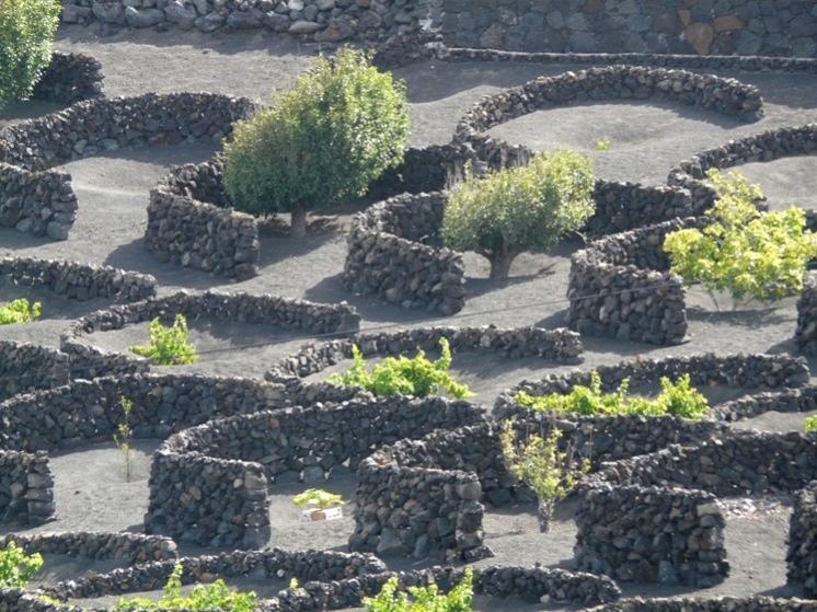 Foto de Lanzarote (Las Palmas), España