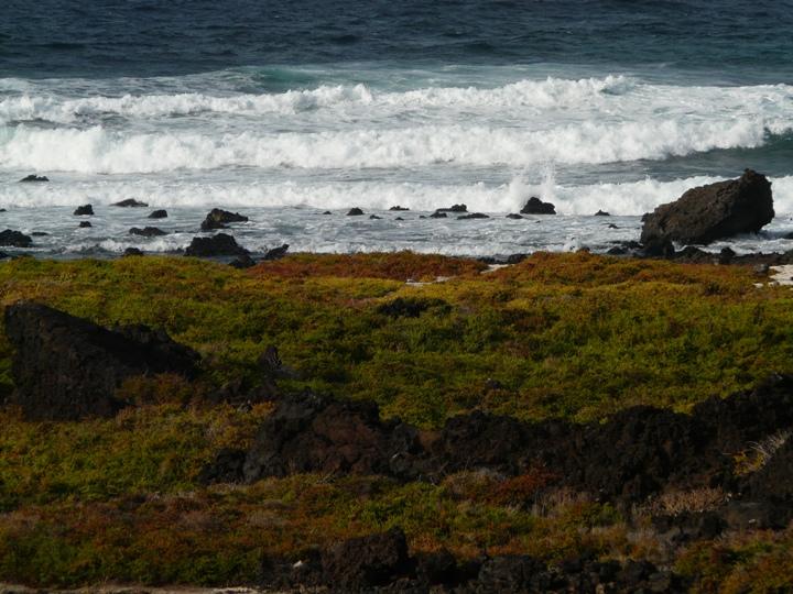 Foto de Lanzarote (Las Palmas), España