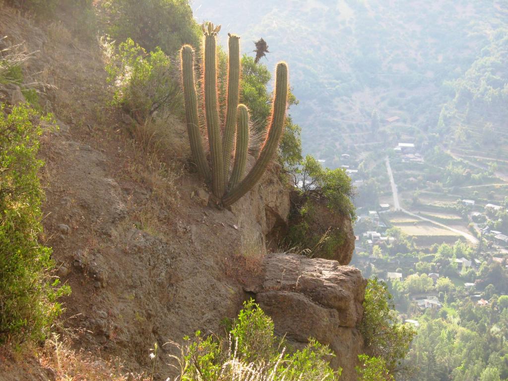 Foto de El Arrayán, Chile