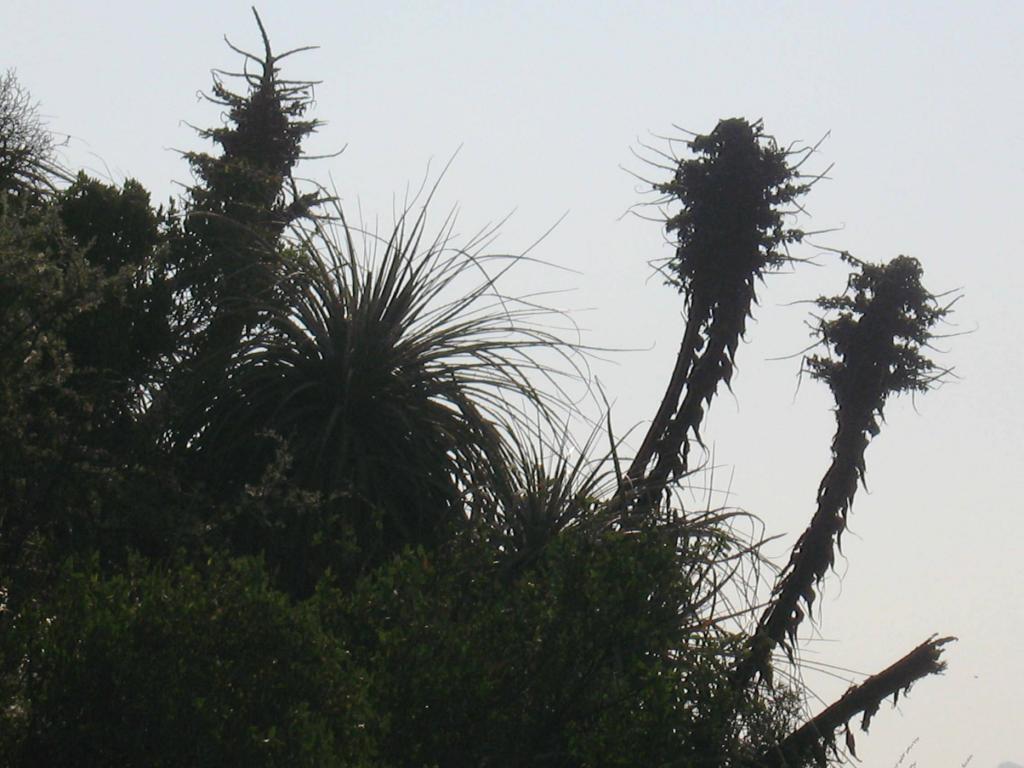 Foto de El Arrayán, Chile