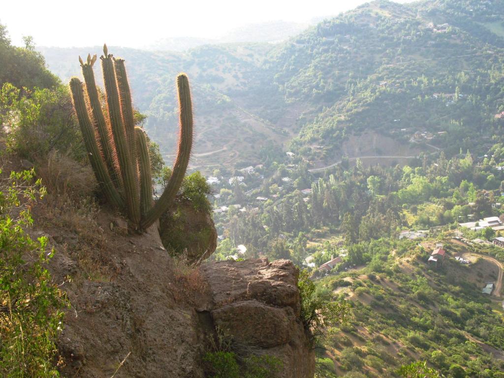 Foto de El Arrayán, Chile