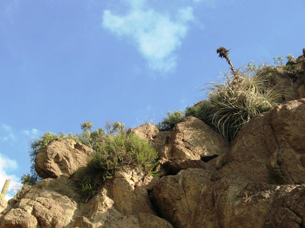 Foto de El Arrayán, Chile