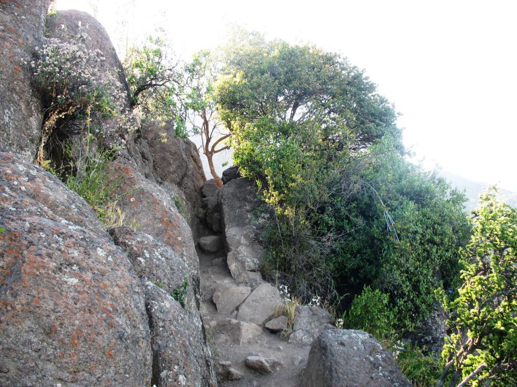 Foto de El Arrayán, Chile