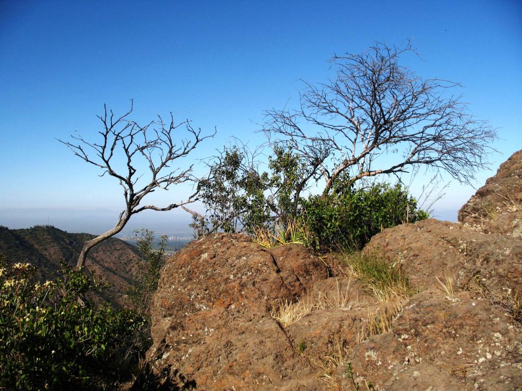 Foto de El Arrayán, Chile