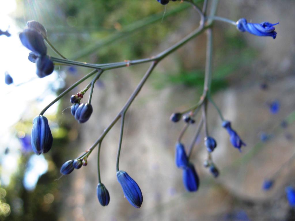 Foto de El Arrayán, Chile