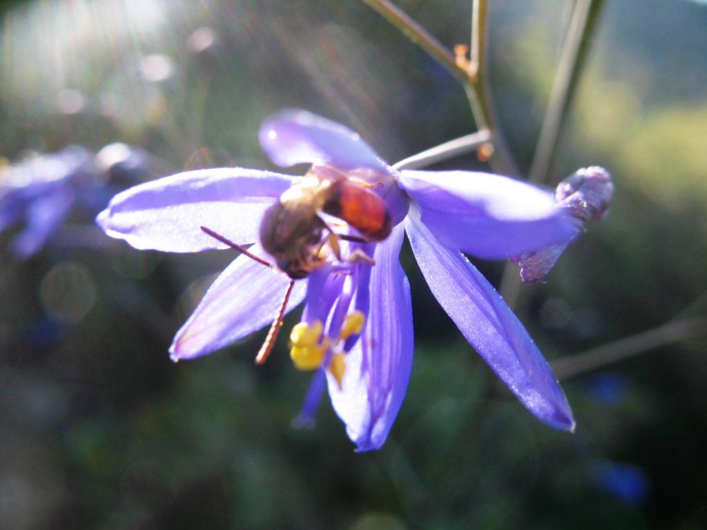 Foto de El Arrayán, Chile