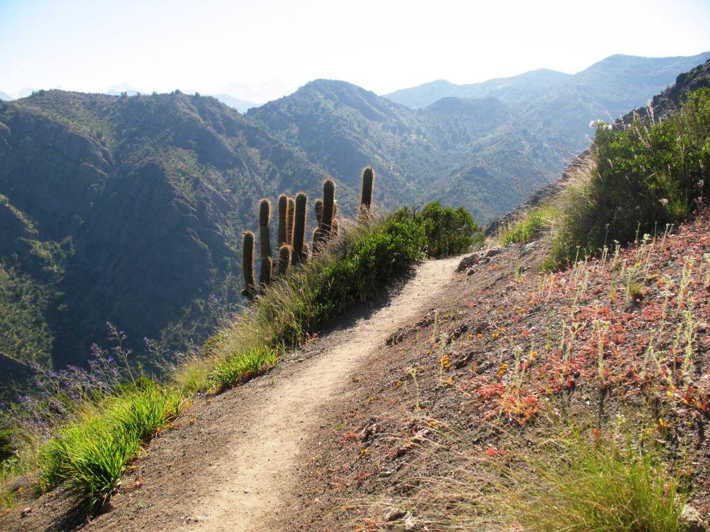 Foto de El Arrayán, Chile