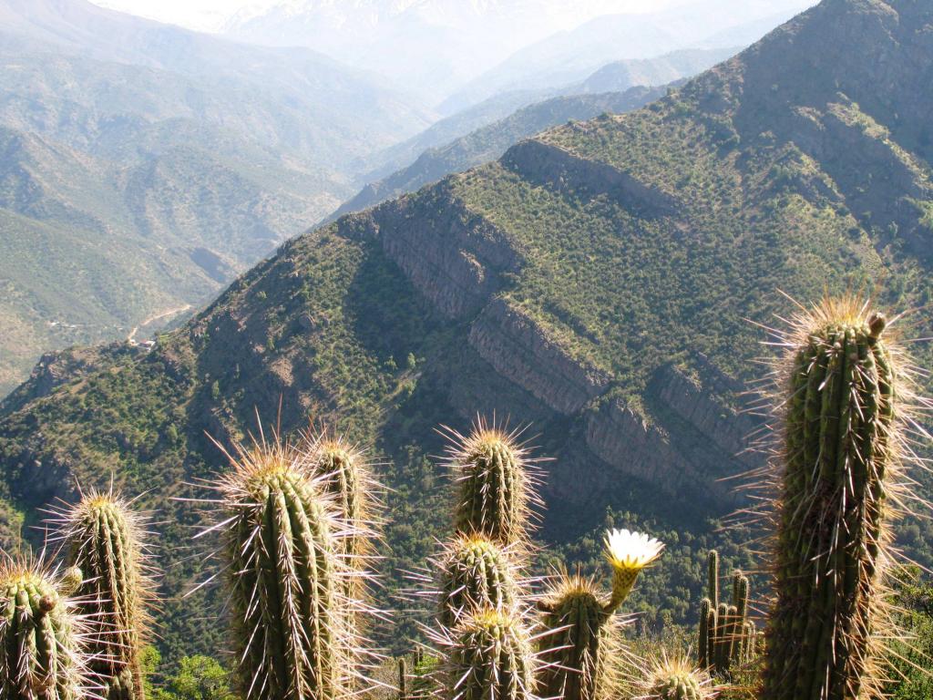 Foto de El Arrayán, Chile